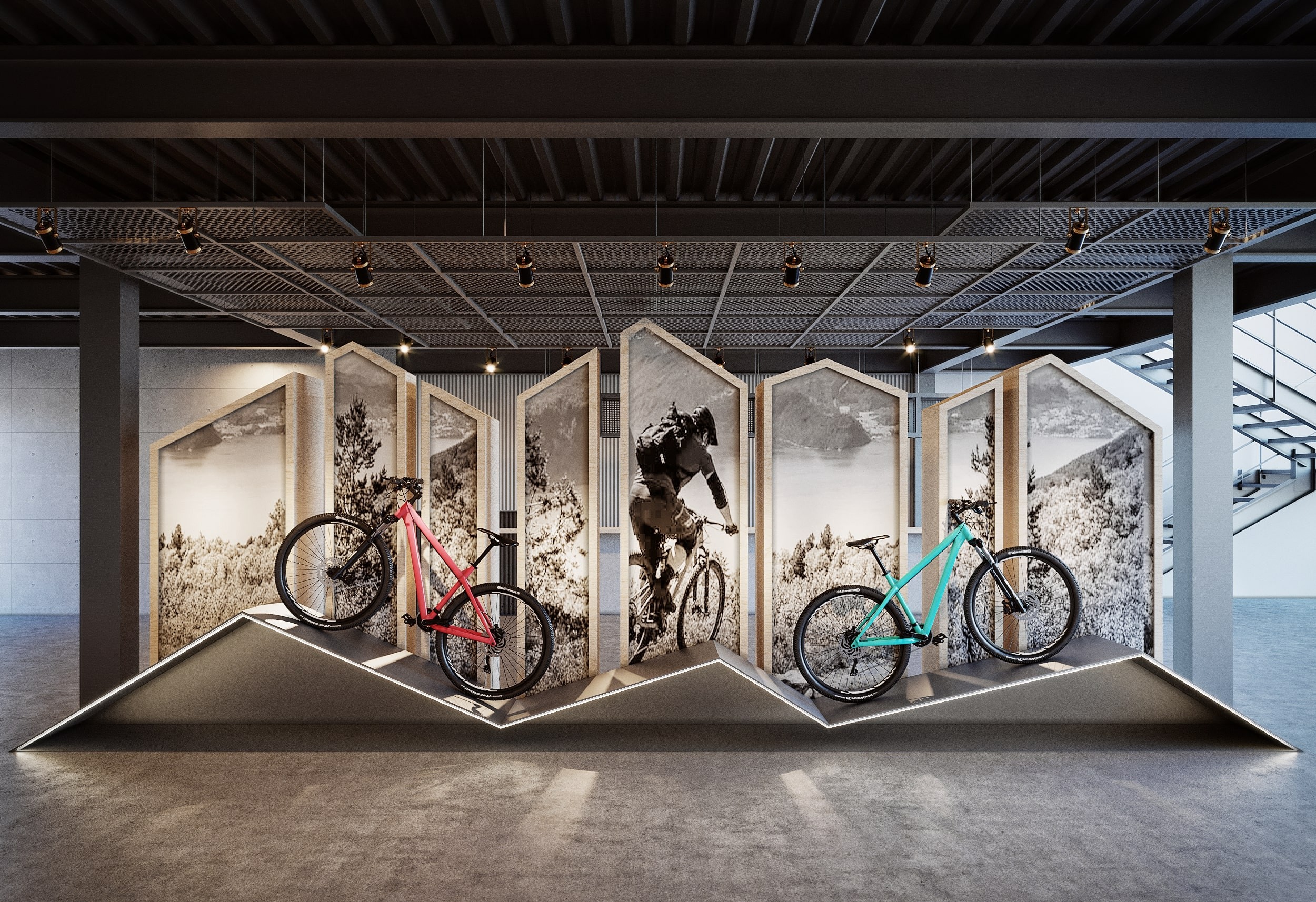 Detalle 6 de MONTELL BIKES